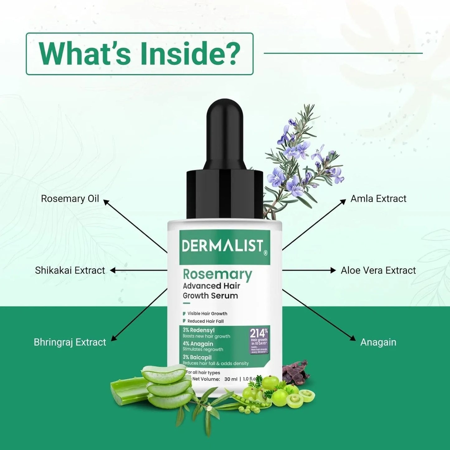 Dermalist Rosemary Hair Growth Non-Greasy Scalp Serum for Men & Women – 30 ml
